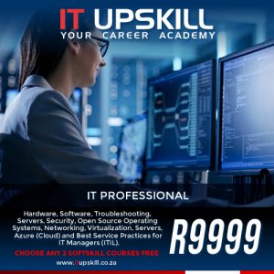 IT Professional