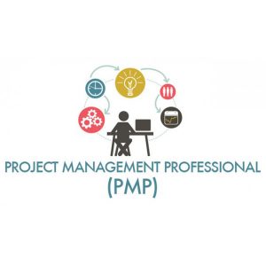 Project Management Professional (PMP)