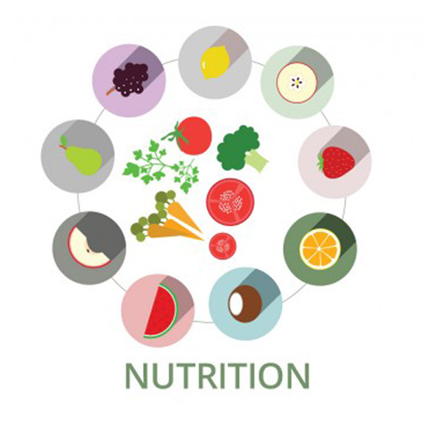 The-Key-to-Nutrition-and-Wellness-1.jpg