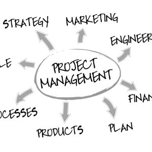 Business Administration & Project Management