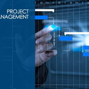 Certified Associate In Project Management (CAPM)